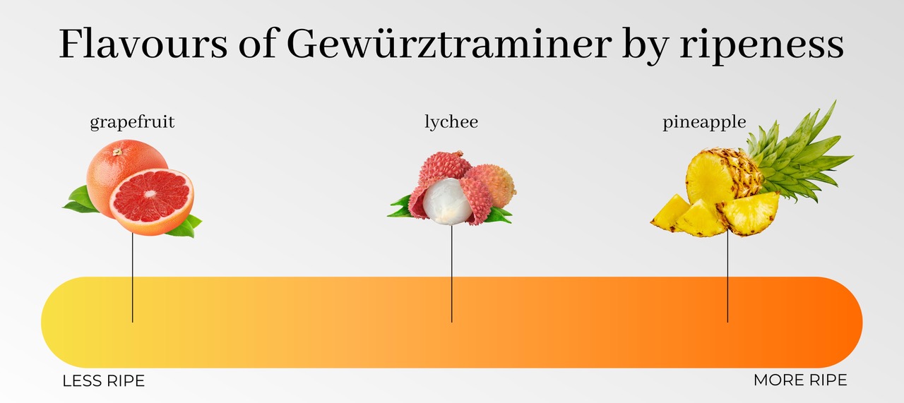 Flavours of Gewürztraminer by ripeness