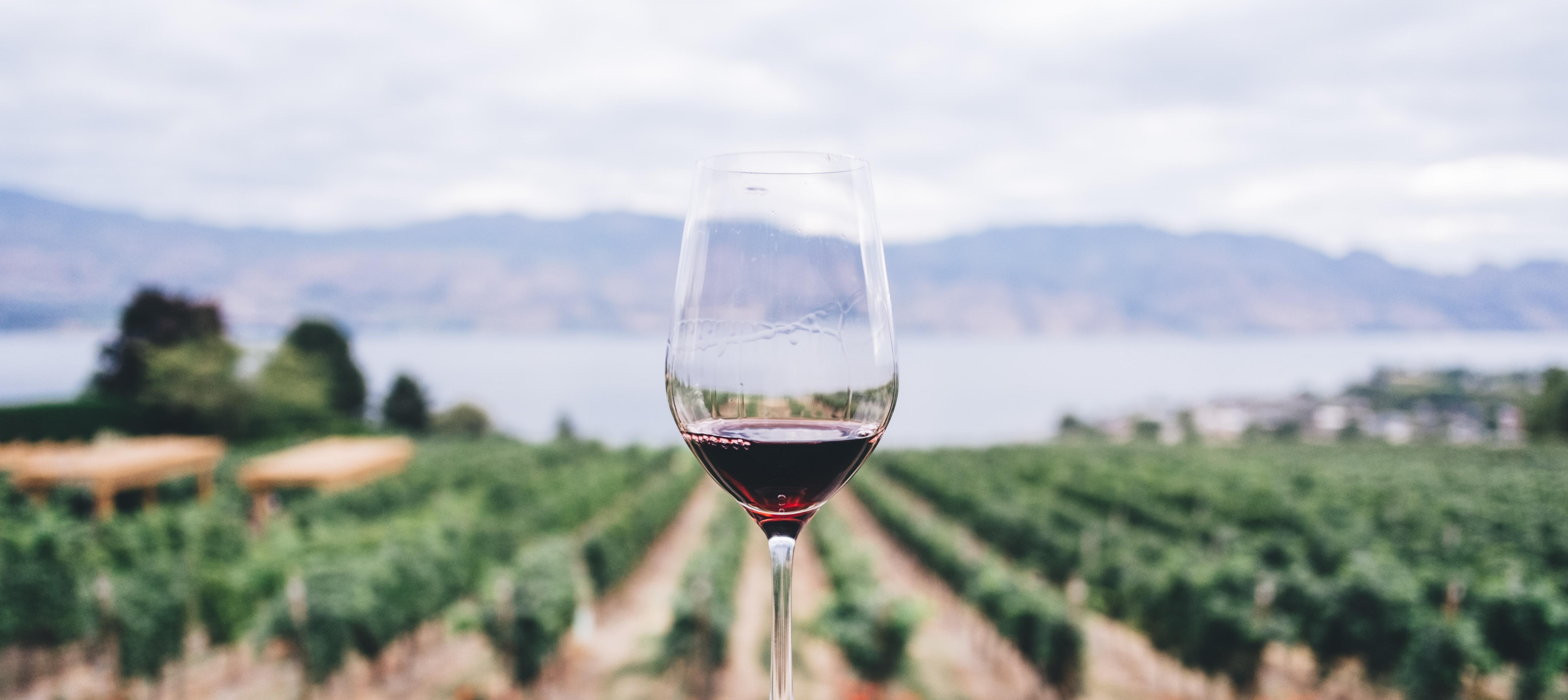 BC Wine Stats Okanagan Valley Wine