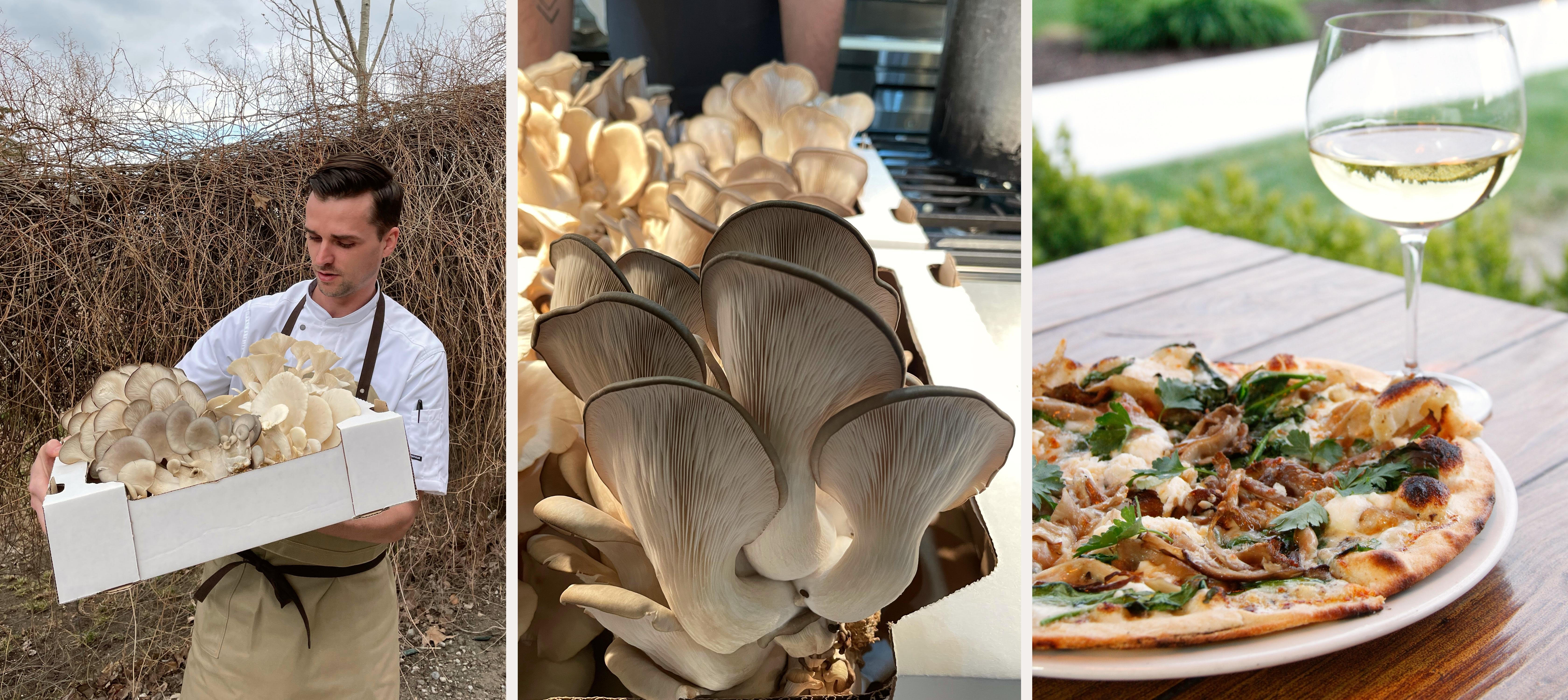 Lake Country Gourmet Mushrooms